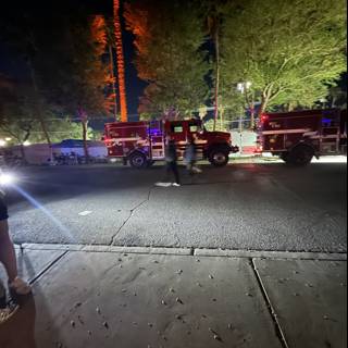 Nighttime Encounter at Empire Polo Club