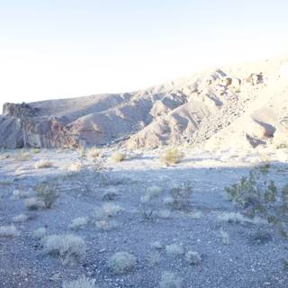 Rocky Desert Scenery