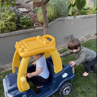 Backyard Adventures