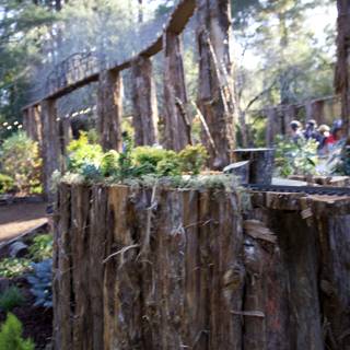 Tranquil Woodland Gathering