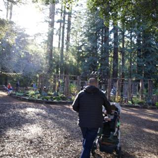 A Stroll Through Thistlewyck Grove