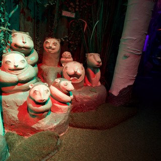 museum-or-themed-attraction