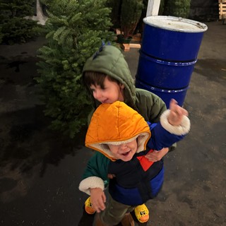 Christmas tree lot or seasonal tree farm