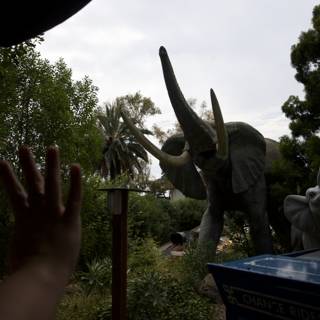 Grand Safari Adventure