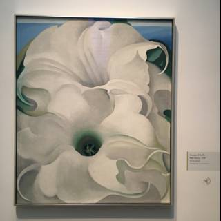 White Geranium in Modern Art