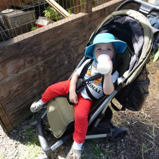 Sunny Stroll Adventures
