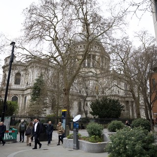 St Paul's Cathedral Through Bare Winter Trees