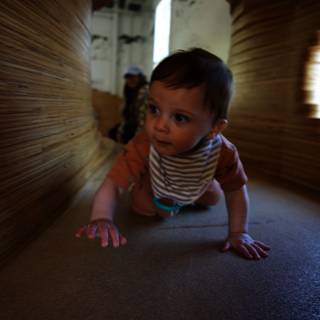 Wesley's Crawling Adventure at the Museum