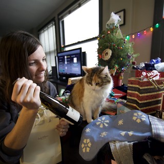 Holiday Cheer: Woman and Cat Celebrate Christmas Morning