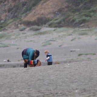 Family Beach Moment with Dog on Foggy Coast