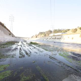 Algae Bloom in the LA River