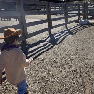 Little Cowboy's Adventure