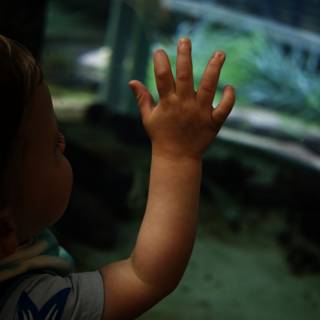 Baby's First Encounter with Aquatic Life
