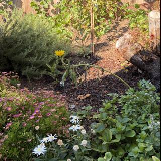 September Serenity in Bloom