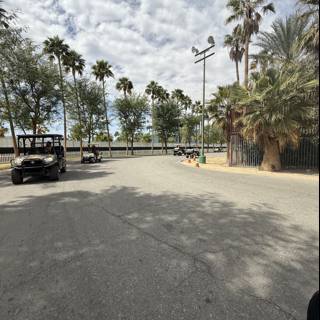 Palm-Lined Streets of Indio