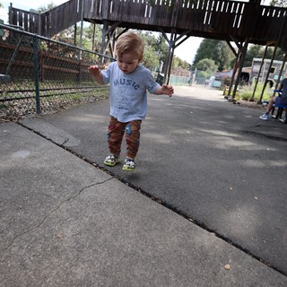 Toddler Walking at Zoo Playground with Wooden Fort
