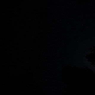 Moonlit Night Sky Over Lassen Volcanic Forest