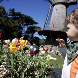 Spring's Innocence at Golden Gate Park