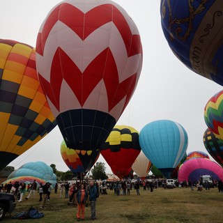 Colorful Hot Air Balloons Fill the Sky at Festival