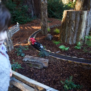 Private residential garden or model railway club