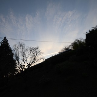 Silhouetted Hillside Trees at Twilight with Power Lines