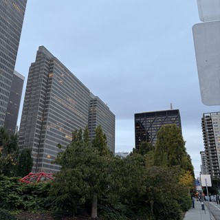 Modern High-Rise Buildings Through Urban Green Space