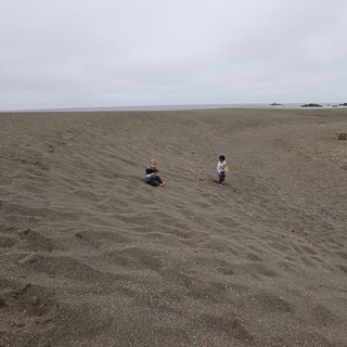 Two Children Playing on a Vast Gray Beach