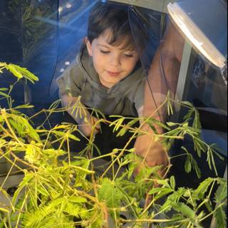 Curious Hearts and Growing Green