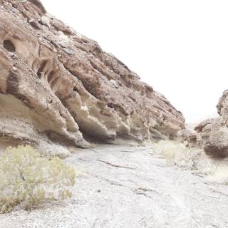 Path Through the Desert