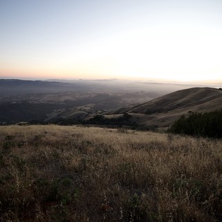 golden-state