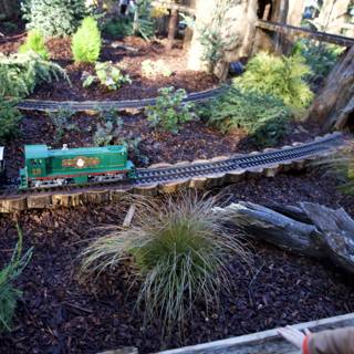 Enchanted Miniature Journey