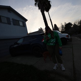 Evening Walk in Suburban California Neighborhood