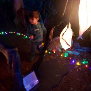 Enchanted Evening at the Garden of D'Lights