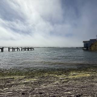Tranquil Waters of Bodega Bay
