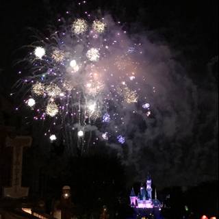 Awed by the Disneyland Fireworks