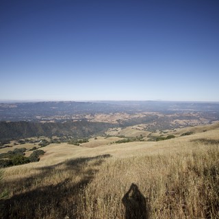 Golden Hillside Vista from Mount Diablo Summit