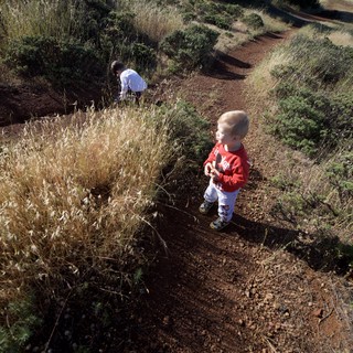Young Explorers on Mount Diablo's Juniper Canyon Trail