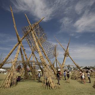Bamboo Structure at Coachella