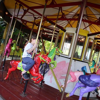 Child Riding Colorful Carousel at Fantasyland