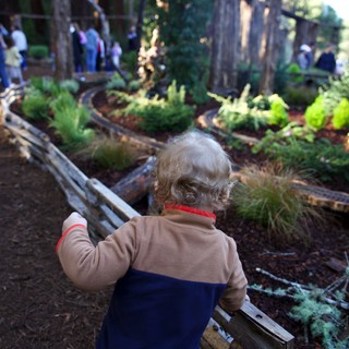 Botanical garden or outdoor railway museum