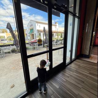 Curiosity at The Veranda