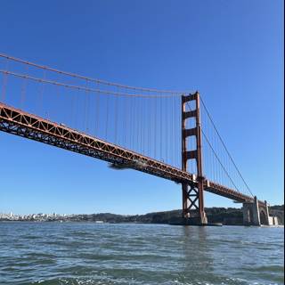 Golden Moments on the Golden Gate