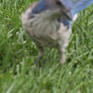 A Moment in Motion