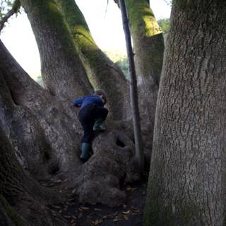 Climbing Among Giants
