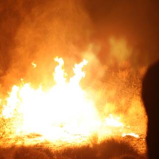 Blazing Bonfire in the Desert Night