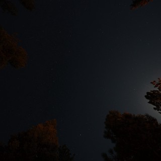 Moonlit Night Sky Over Mount Lassen Wilderness
