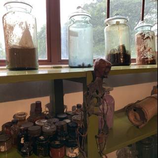 Jar-filled Shelf