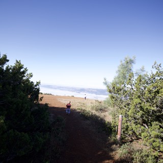 Above the Clouds on Mount Diablo Trail