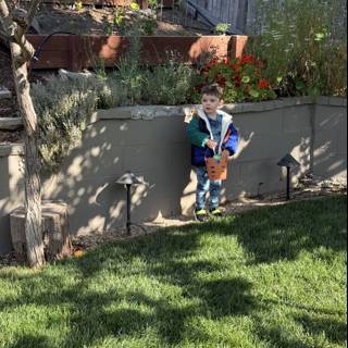 Springtime Wonder