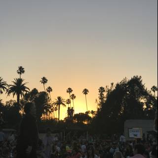 Sunset Concert at Hollywood Forever